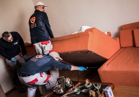 dezinsectie deratizare preturi