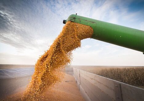 Transportul de cereale și semințe trece la nivelul următor