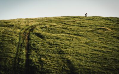 7346477f-76de-4937-bb0f-1a2391077ee9-1776849839772