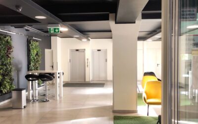 photo-1575886876783-ea3cbbc8204d