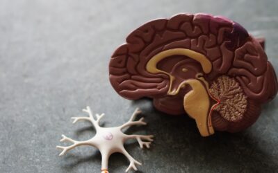 photo-1559757175-5700dde675bc